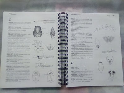 Spiders of North America - an Identification Manual