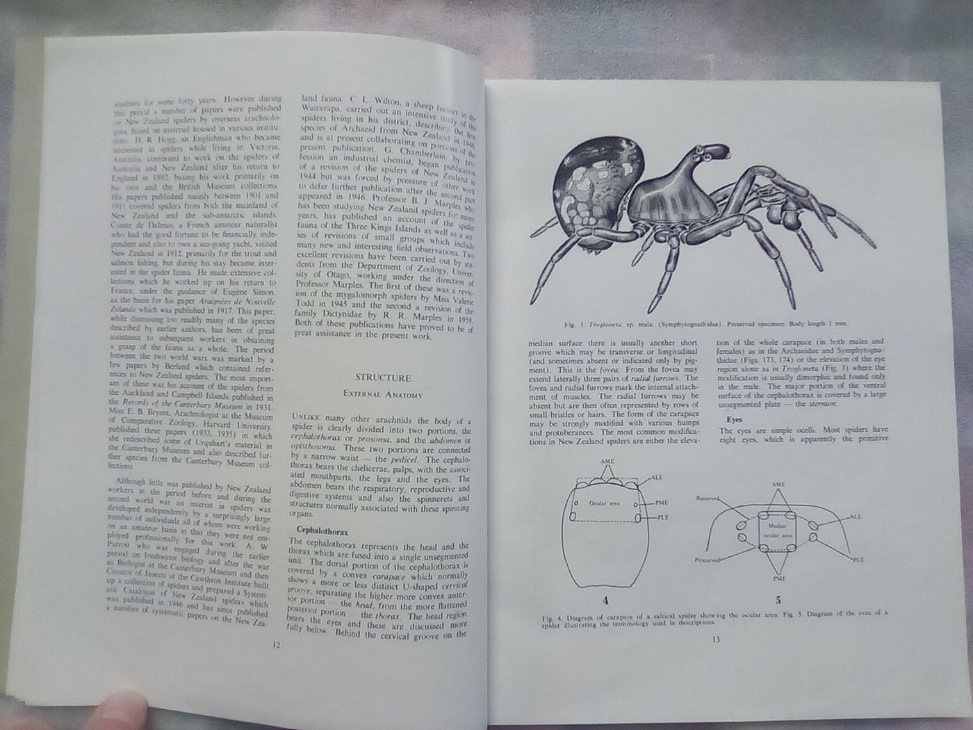 The Spiders of New Zealand - Part 1 (1967) by R.R. Forster