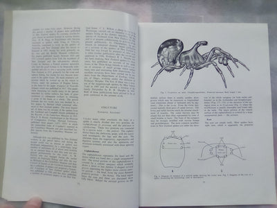 The Spiders of New Zealand - Part 1 (1967) by R.R. Forster