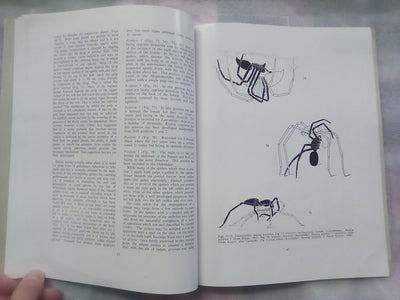 The Spiders of New Zealand - Part 1 (1967) by R.R. Forster