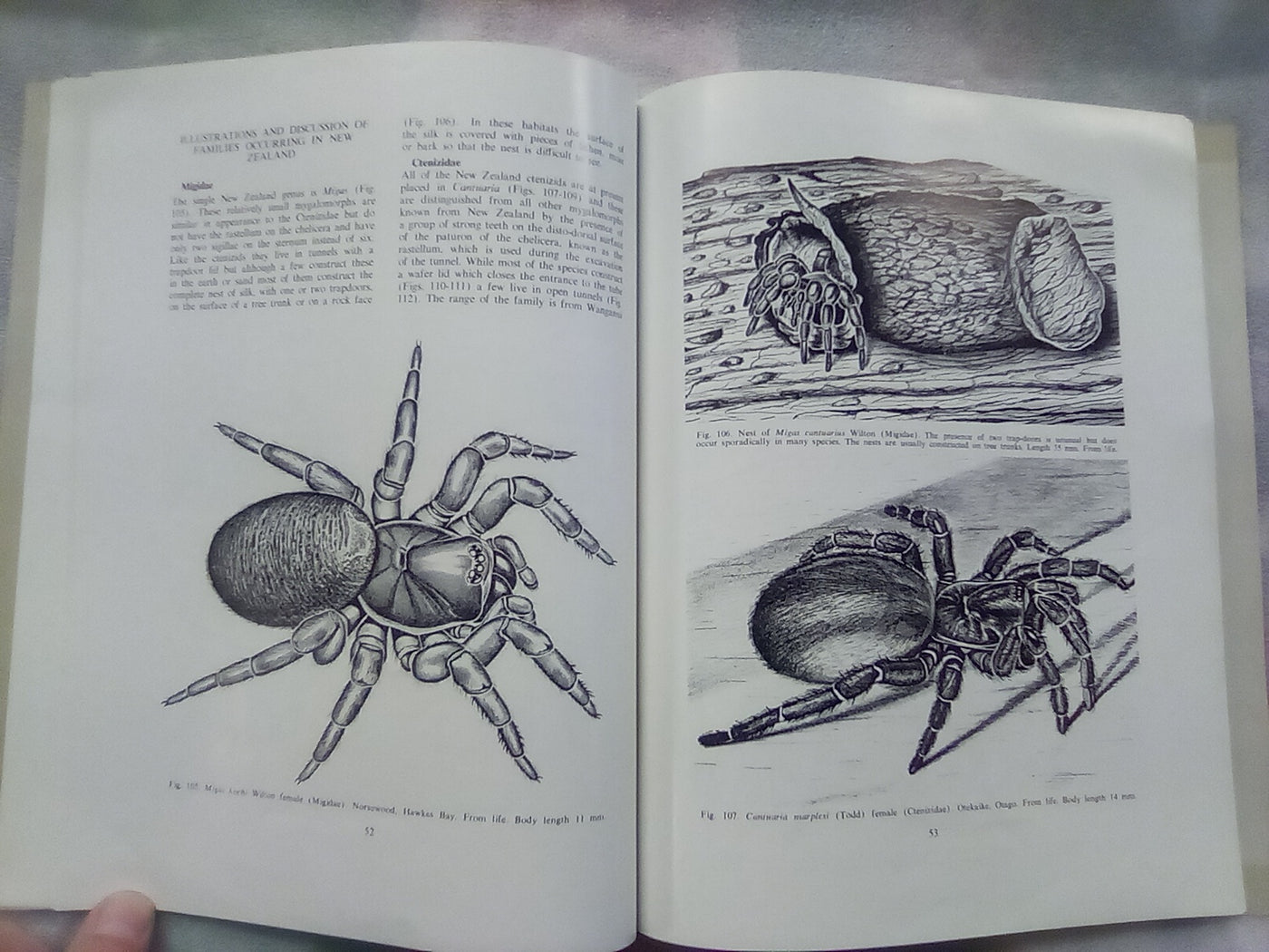 The Spiders of New Zealand - Part 1 (1967) by R.R. Forster
