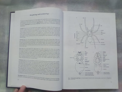 Spider families Of The World by R. Jocque & A.S. Dippenaar-Schoeman