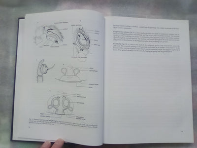 Spider families Of The World by R. Jocque & A.S. Dippenaar-Schoeman