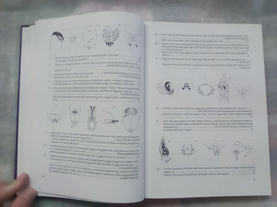 Spider families Of The World by R. Jocque & A.S. Dippenaar-Schoeman