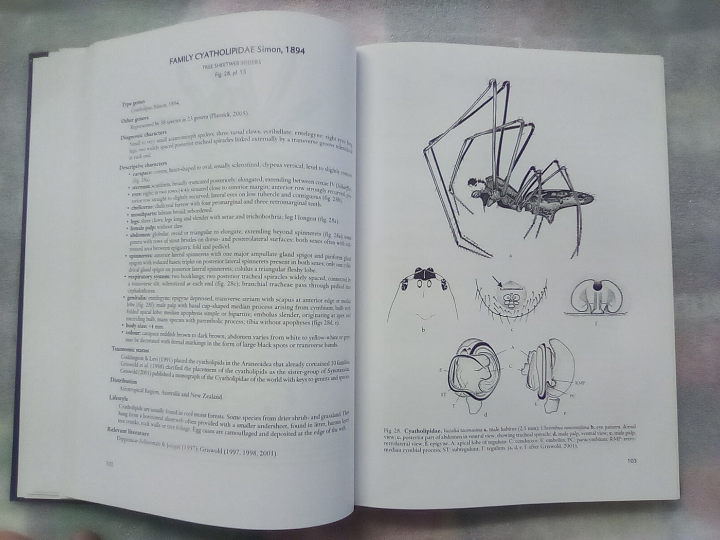 Spider families Of The World by R. Jocque & A.S. Dippenaar-Schoeman
