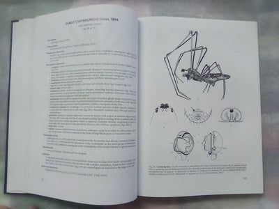 Spider families Of The World by R. Jocque & A.S. Dippenaar-Schoeman
