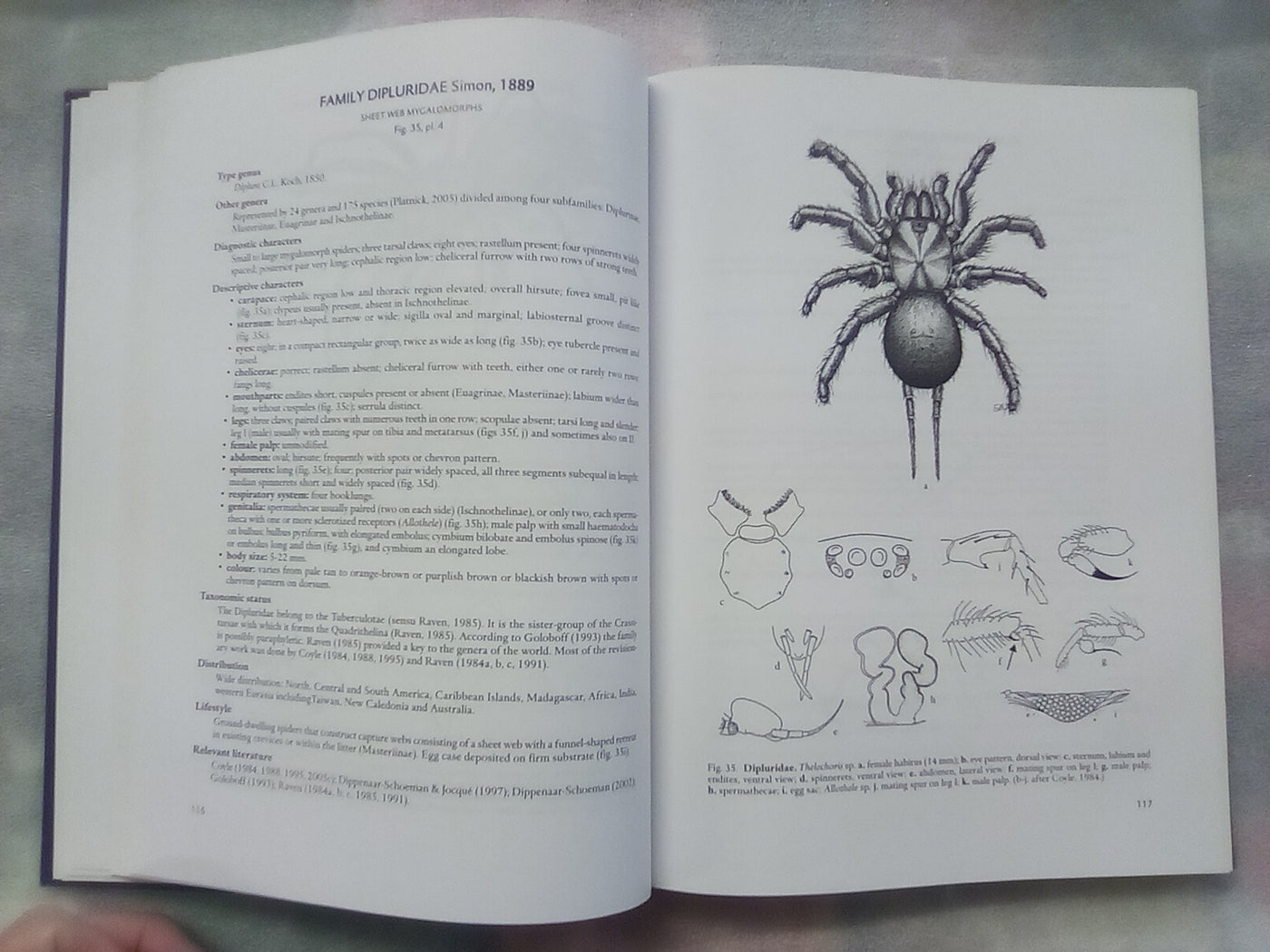 Spider families Of The World by R. Jocque & A.S. Dippenaar-Schoeman