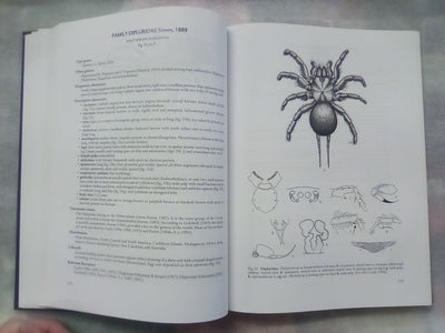 Spider families Of The World by R. Jocque & A.S. Dippenaar-Schoeman