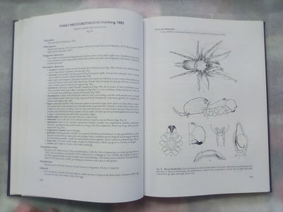 Spider families Of The World by R. Jocque & A.S. Dippenaar-Schoeman