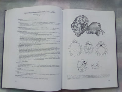 Spider families Of The World by R. Jocque & A.S. Dippenaar-Schoeman