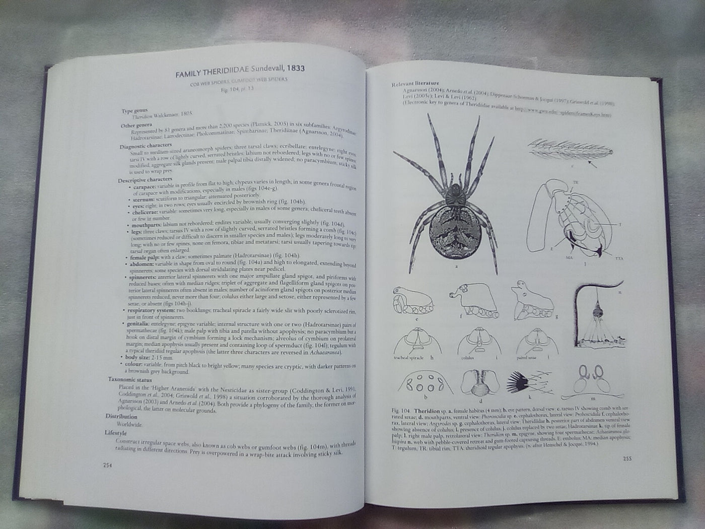 Spider families Of The World by R. Jocque & A.S. Dippenaar-Schoeman