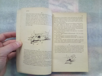 Return of the Wanderer - Adventure Gamebook 3 (Choose Your Own Adventure)