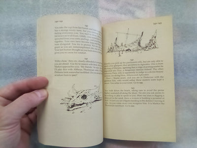 Return of the Wanderer - Adventure Gamebook 3 (Choose Your Own Adventure)