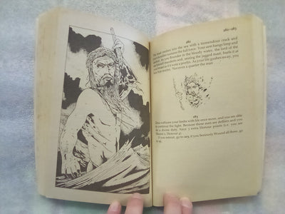 Return of the Wanderer - Adventure Gamebook 3 (Choose Your Own Adventure)