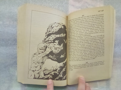 Return of the Wanderer - Adventure Gamebook 3 (Choose Your Own Adventure)