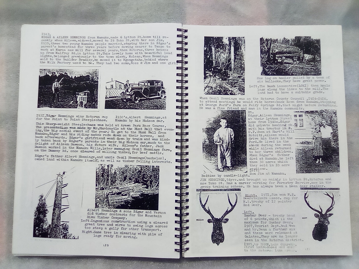Rotorua People 1880s to 1940s - Living South of Old Railway by Peggy Allen