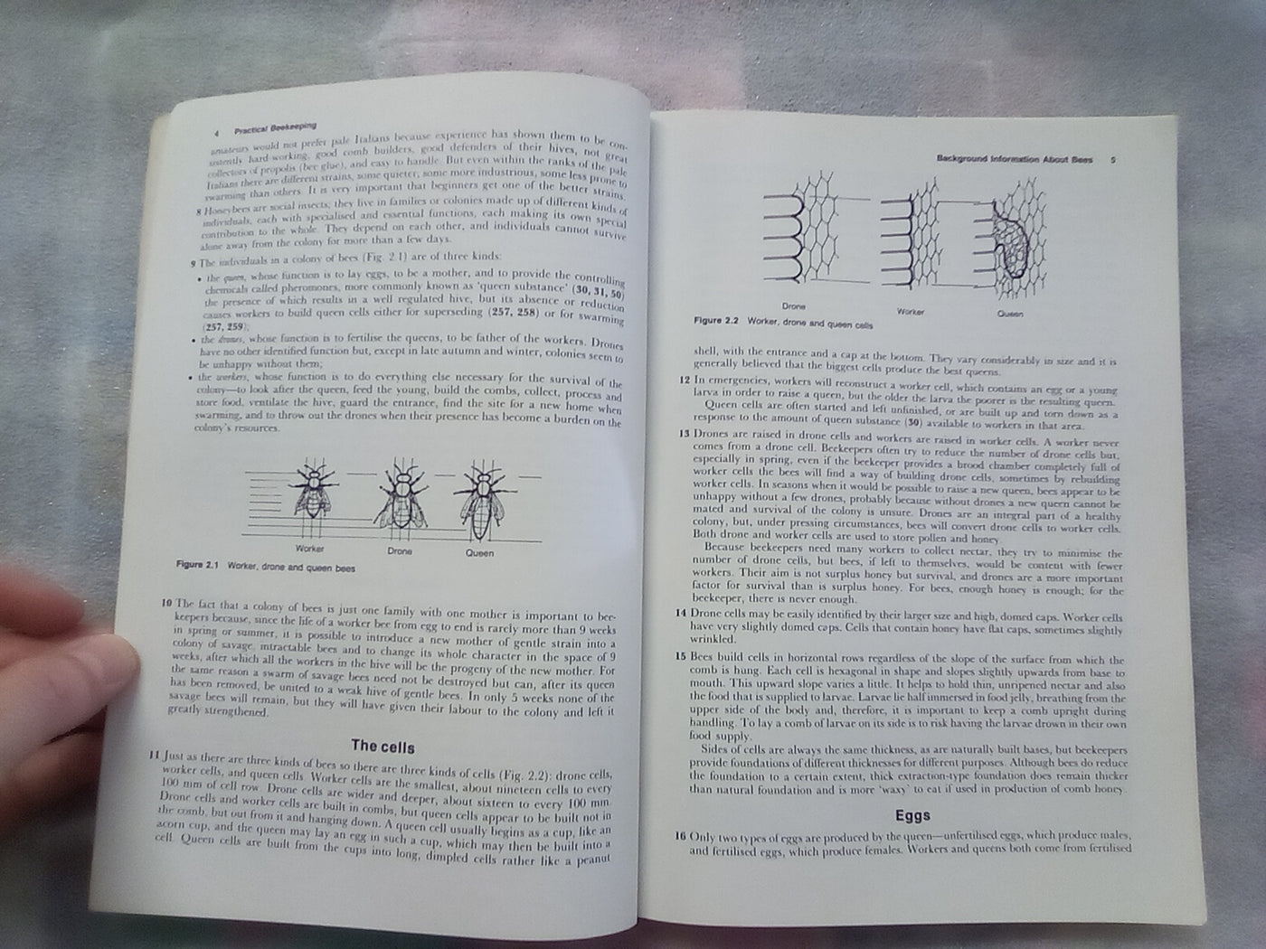 Practical Beekeeping - A Handbook for Australia & New Zealand