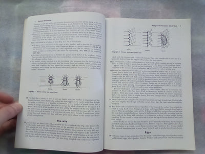 Practical Beekeeping - A Handbook for Australia & New Zealand