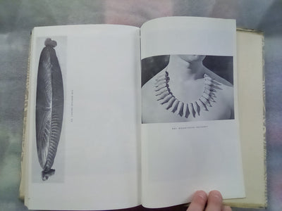 The Coming of the Maori (1962) by Te Rangi Hiroa (Sir Peter Buck)