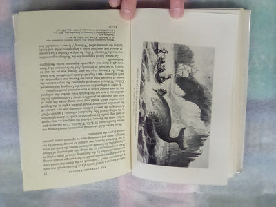 Early Victorian New Zealand - A Study of Racial Tension & Social Attitudes 1839-1852
