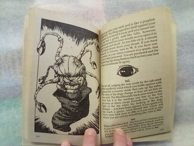 The Way of the Tiger Book 2 - Assassin! (Fighting Fantasy)