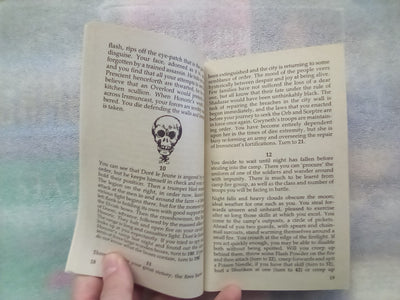 The Way of the Tiger Book 5 - Warbringer! (Fighting Fantasy)