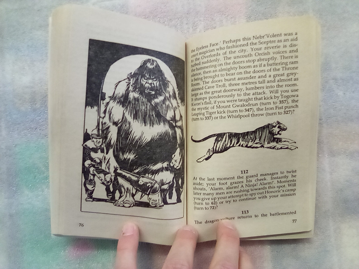 The Way of the Tiger Book 5 - Warbringer! (Fighting Fantasy)