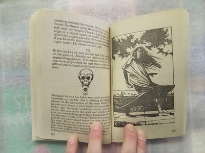 The Way of the Tiger Book 5 - Warbringer! (Fighting Fantasy)