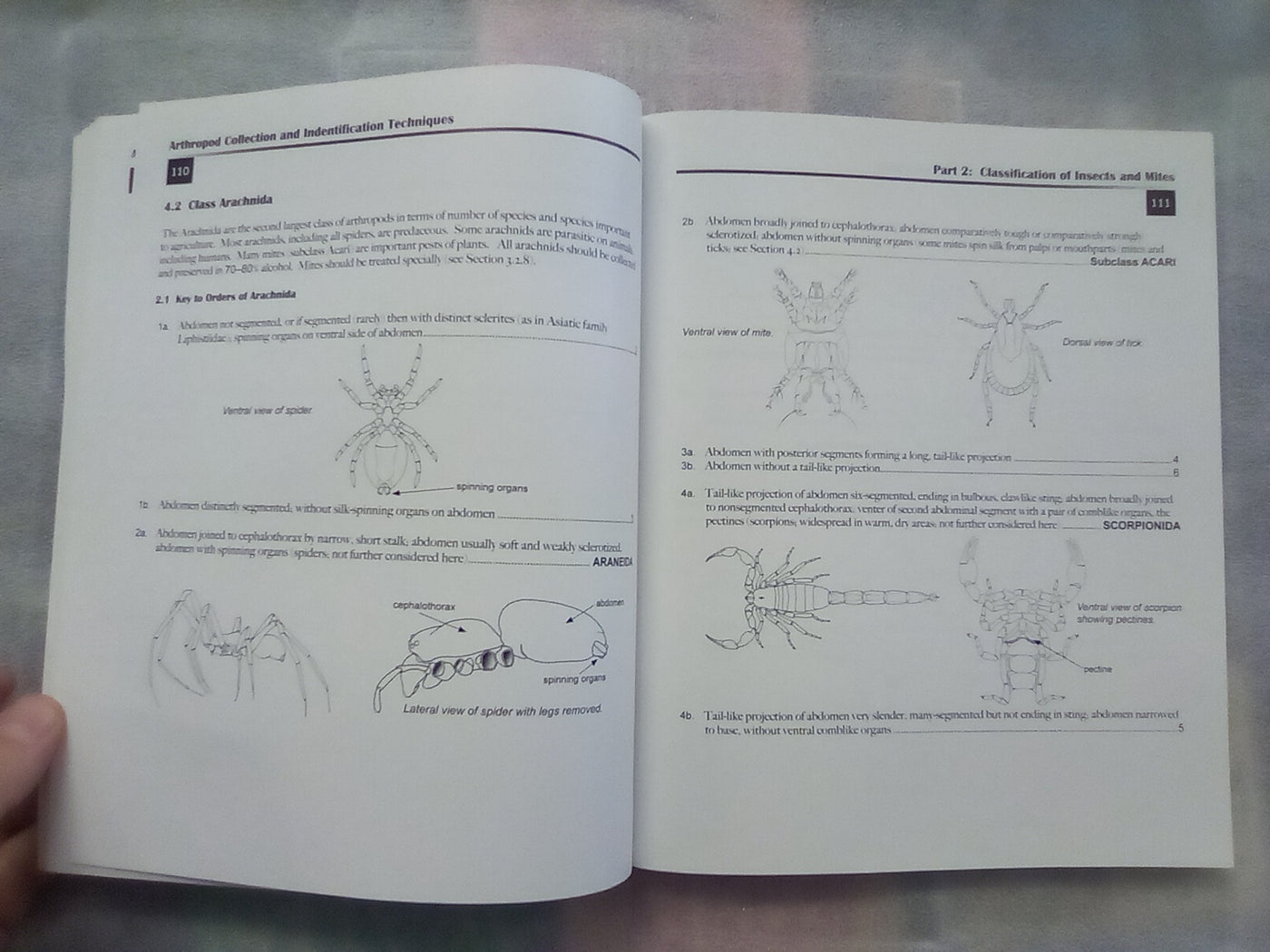 Arthropod Collection & Identification - Laboratory and Field Techniques