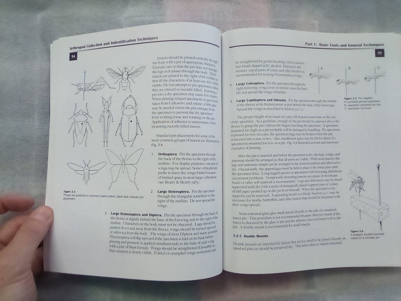 Arthropod Collection & Identification - Laboratory and Field Techniques