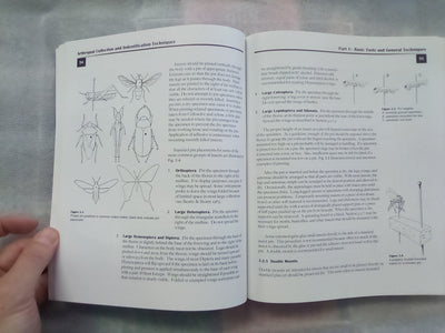 Arthropod Collection & Identification - Laboratory and Field Techniques