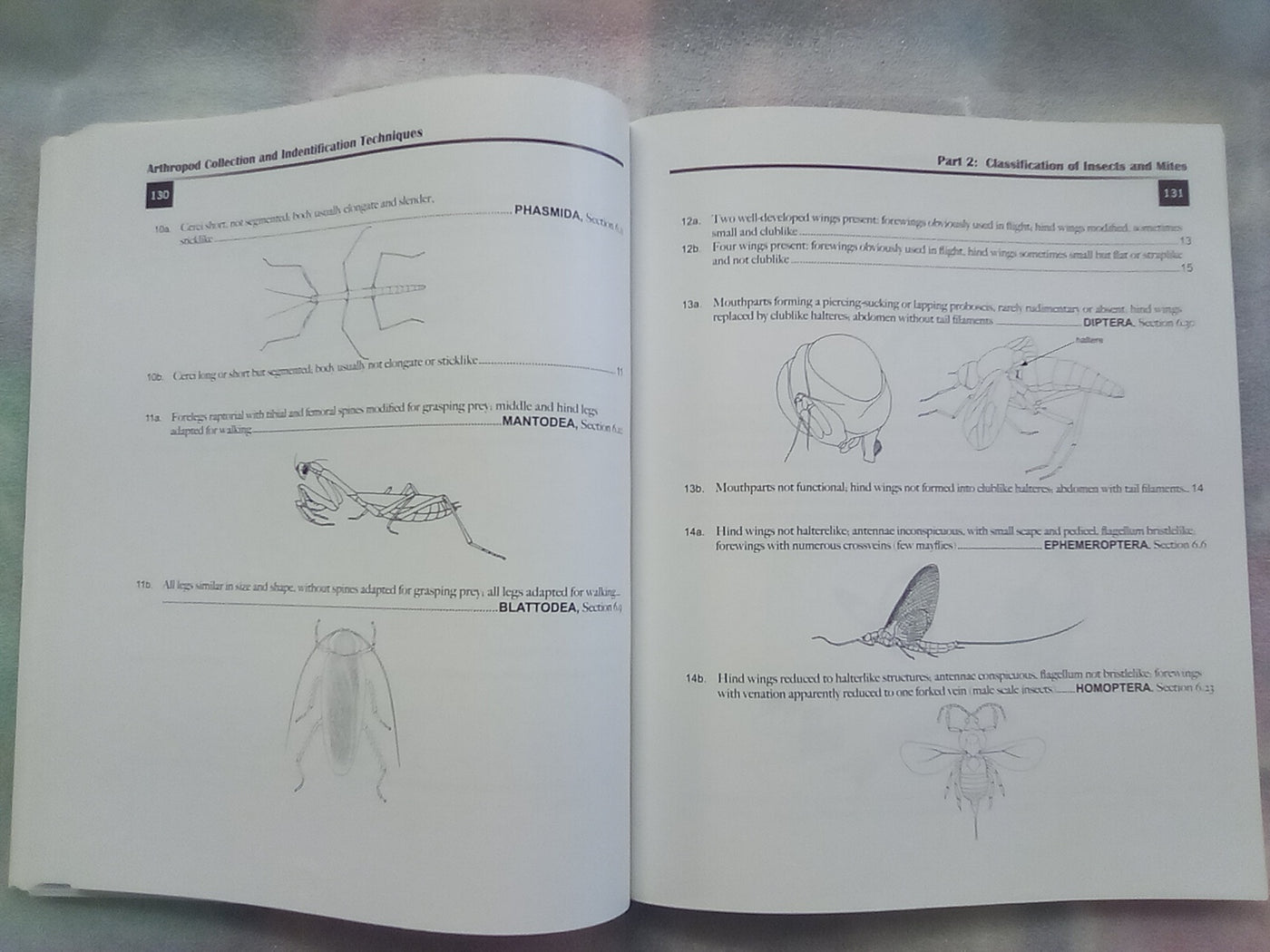 Arthropod Collection & Identification - Laboratory and Field Techniques
