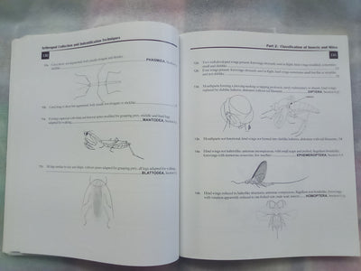 Arthropod Collection & Identification - Laboratory and Field Techniques