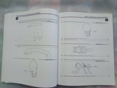 Arthropod Collection & Identification - Laboratory and Field Techniques