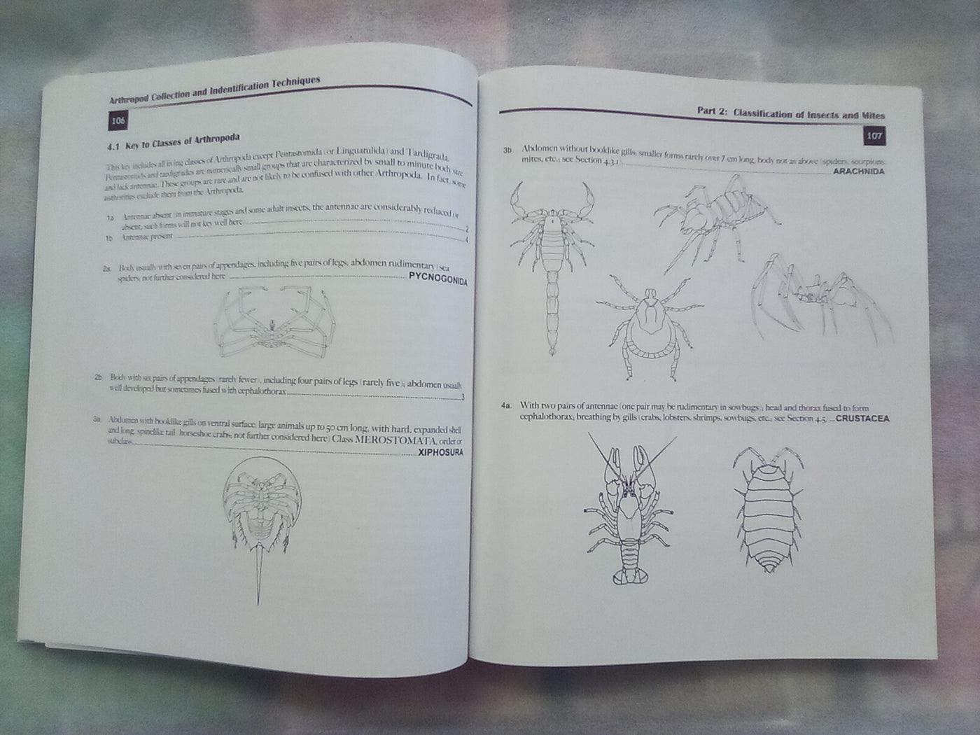 Arthropod Collection & Identification - Laboratory and Field Techniques