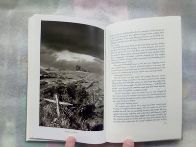 In Patagonia (Folio Society) by Bruce Chatwin