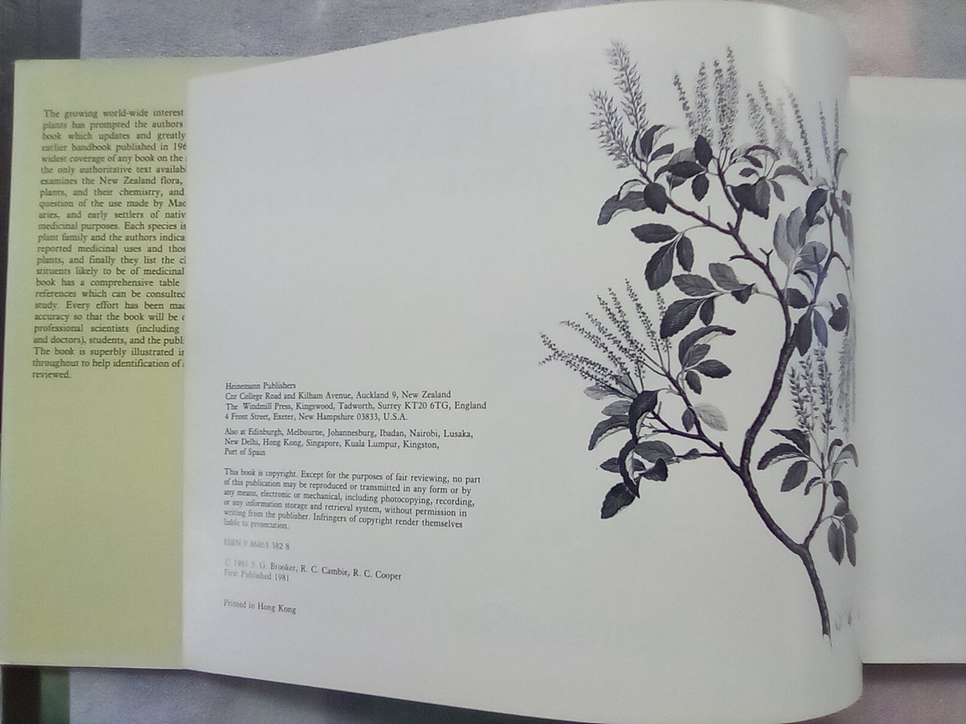 New Zealand Medicinal Plants (1981) by Brooker, Cambie, & Cooper