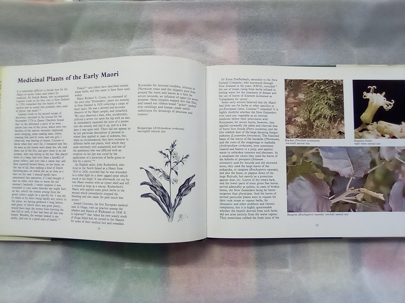 New Zealand Medicinal Plants (1981) by Brooker, Cambie, & Cooper