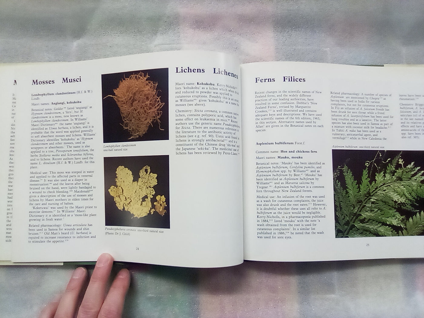 New Zealand Medicinal Plants (1981) by Brooker, Cambie, & Cooper