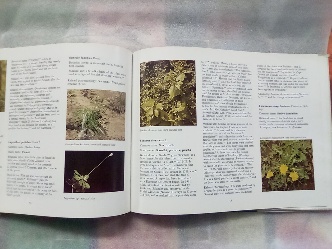 New Zealand Medicinal Plants (1981) by Brooker, Cambie, & Cooper