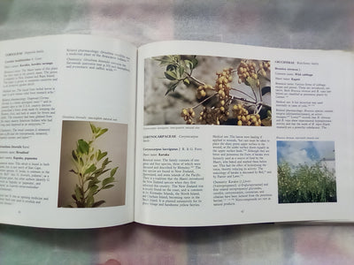 New Zealand Medicinal Plants (1981) by Brooker, Cambie, & Cooper