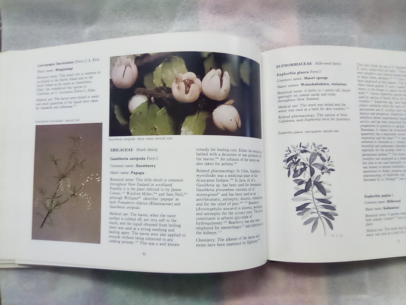 New Zealand Medicinal Plants (1981) by Brooker, Cambie, & Cooper