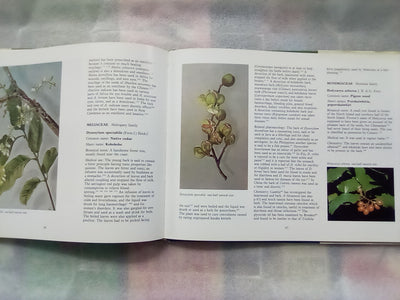New Zealand Medicinal Plants (1981) by Brooker, Cambie, & Cooper
