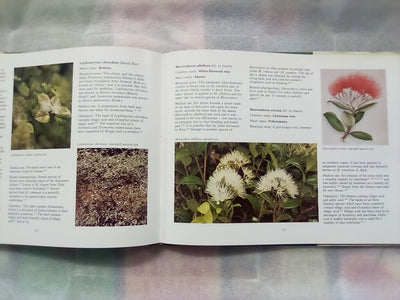 New Zealand Medicinal Plants (1981) by Brooker, Cambie, & Cooper
