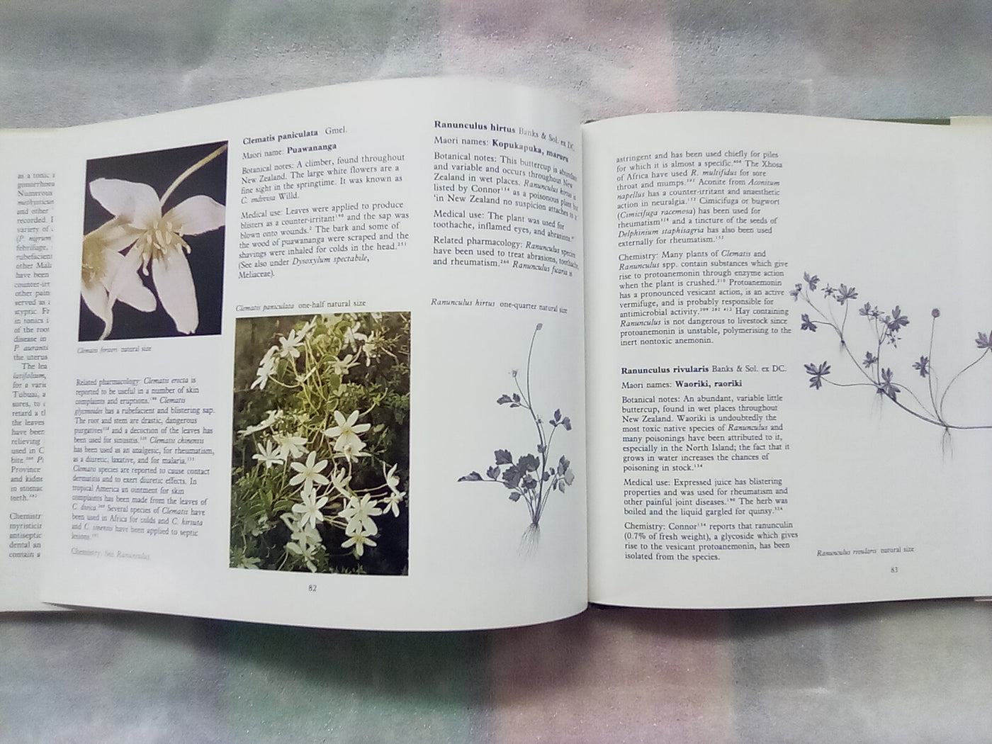 New Zealand Medicinal Plants (1981) by Brooker, Cambie, & Cooper