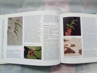 New Zealand Medicinal Plants (1981) by Brooker, Cambie, & Cooper