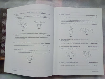 Ants of New Zealand by Warwick Don