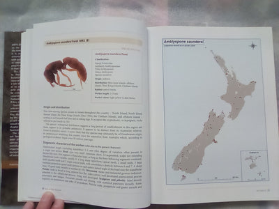 Ants of New Zealand by Warwick Don
