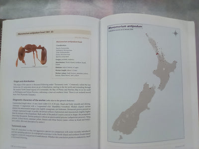 Ants of New Zealand by Warwick Don
