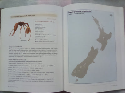 Ants of New Zealand by Warwick Don